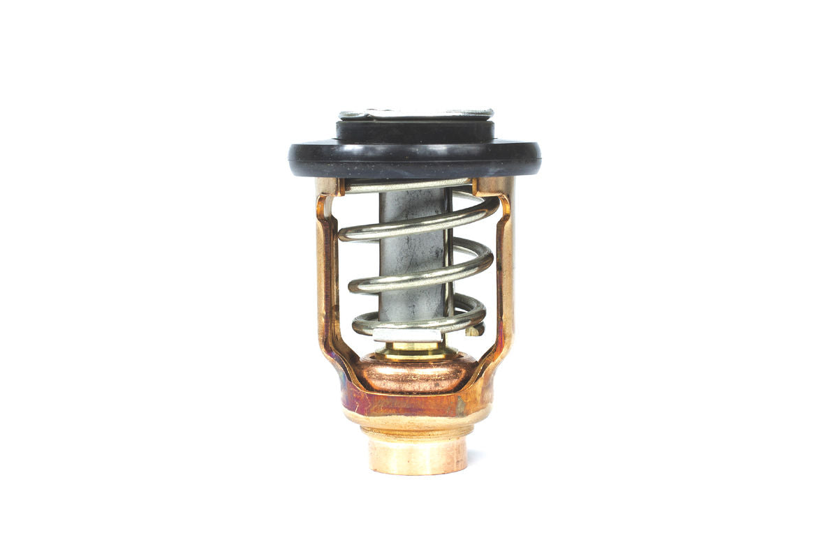 Sierra Thermostat Kit (183637)