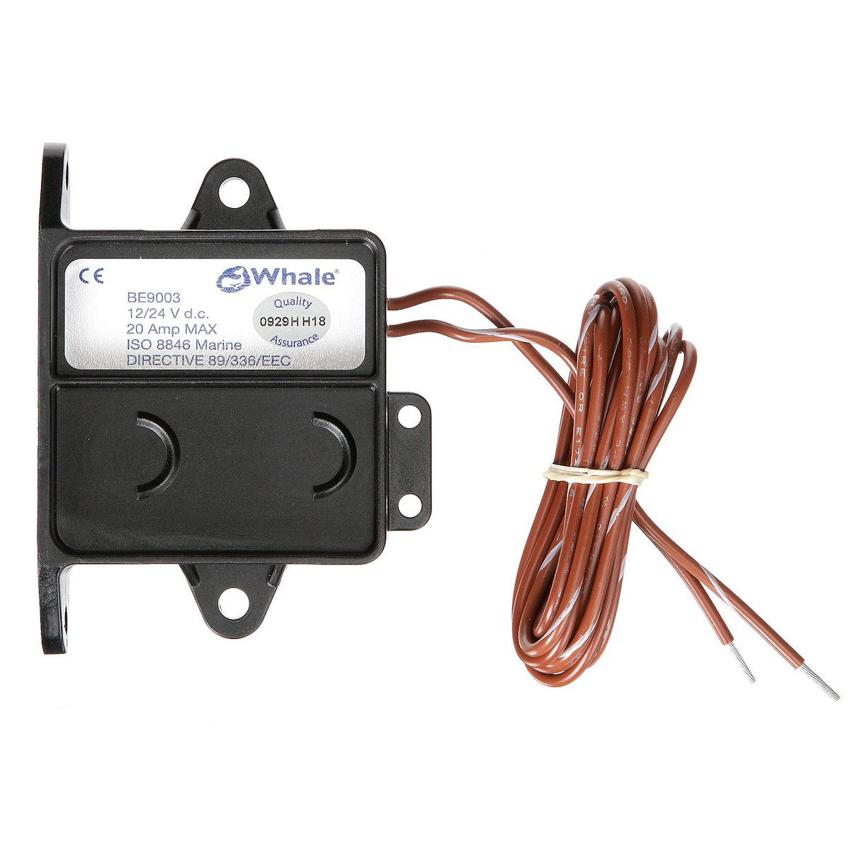Whale Whale Field Switch Retail