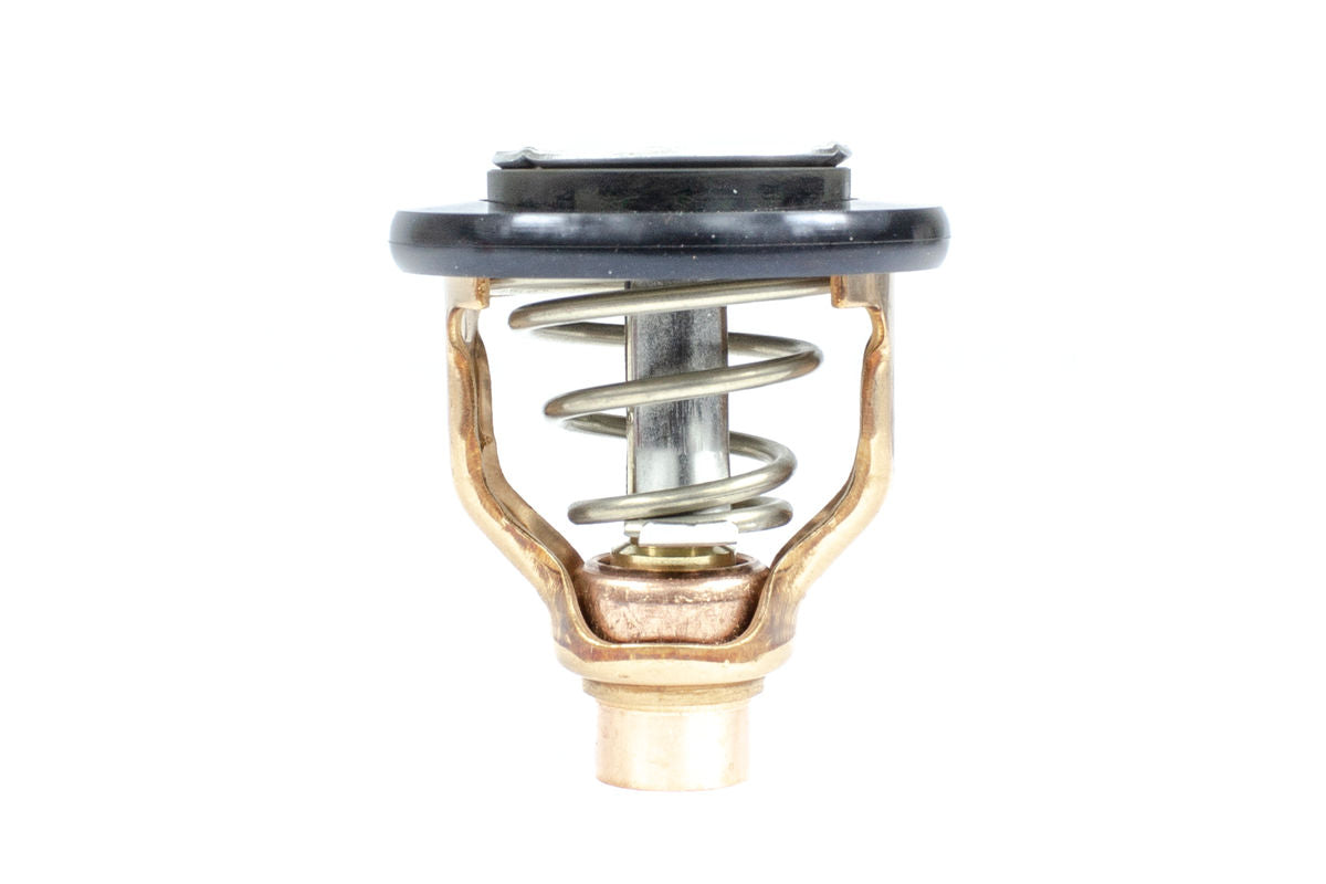 Sierra Thermostat Kit (183634)