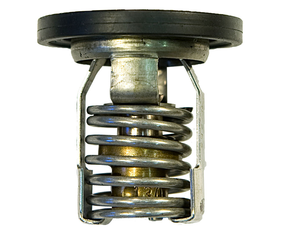 Sierra Thermostat (183535)