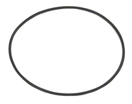Sierra O-Ring (Priced Per Pkg Of 5) (1871619)