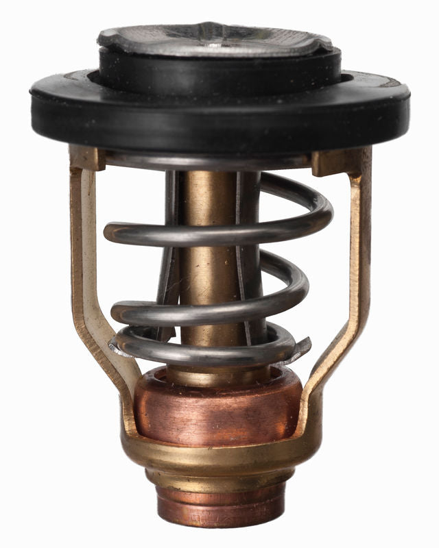 Sierra Thermostat (183525)