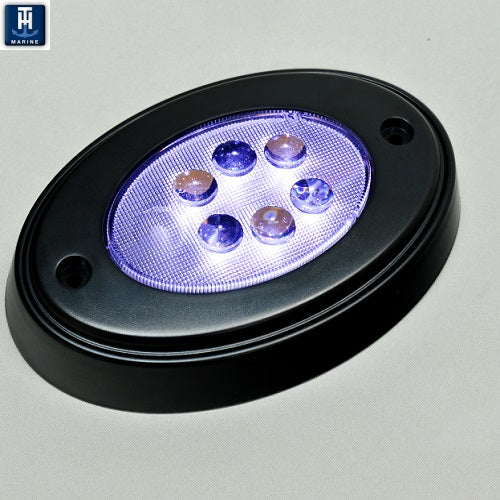 T-H Marine Black Oval Courtesy LED