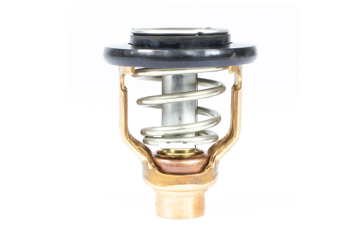 Sierra Thermostat Kit (183636)