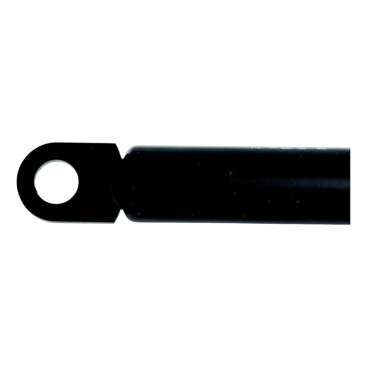 Attwood Gs Sprng 20'X 11.75' C80#