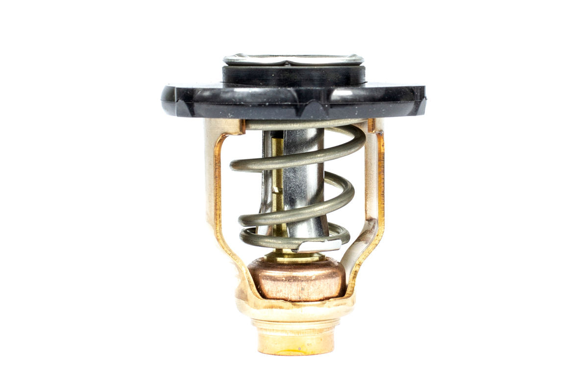 Sierra Thermostat Kit (183639)