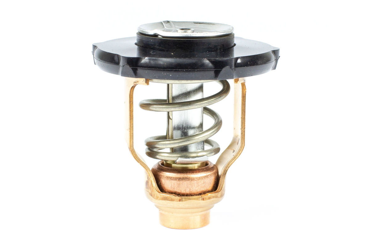 Sierra Thermostat Kit (183641)